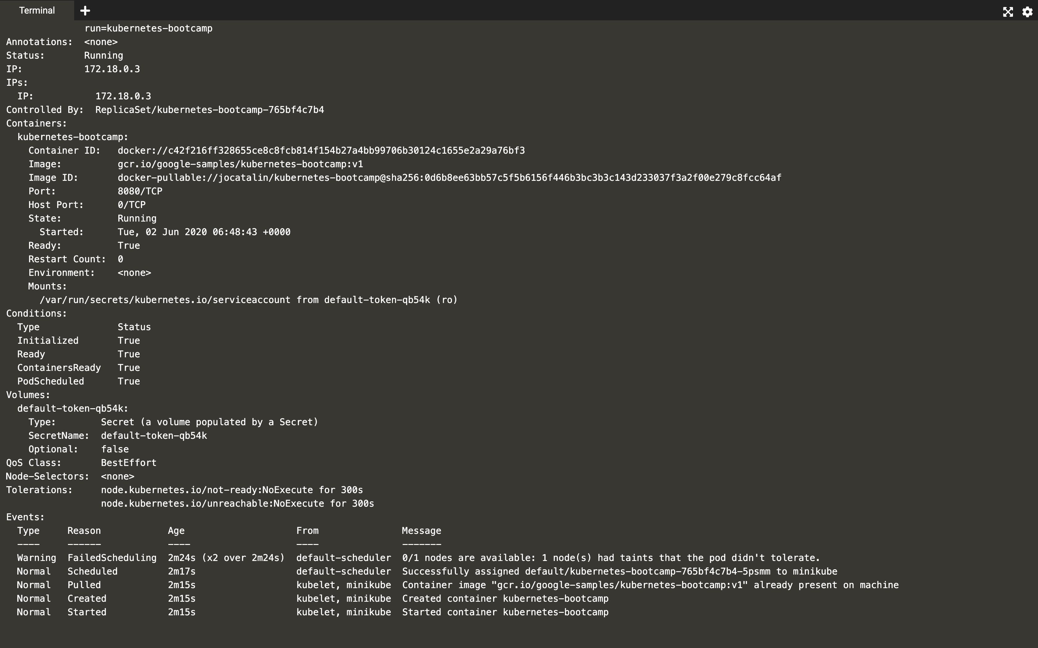 kubectl describe pods