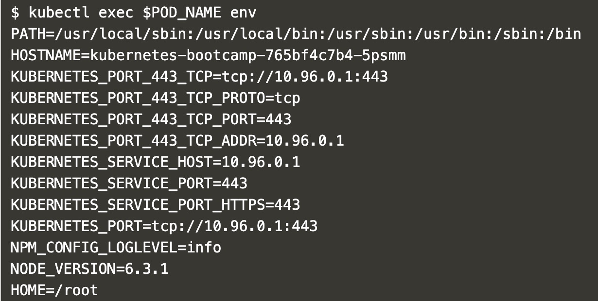 kubectl exec $POD_NAME env